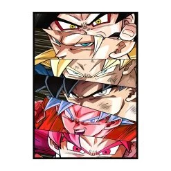 Poster Dragon Ball Formes De Goku