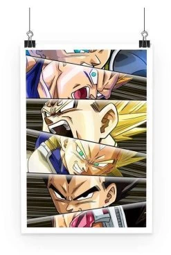 Poster Dragon Ball Z Vegeta Evolution