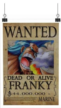 Poster One Piece Francky Wanted